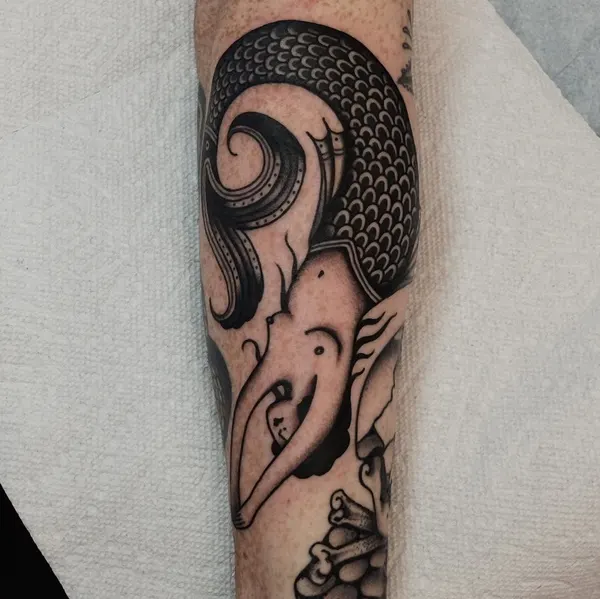 Dragon