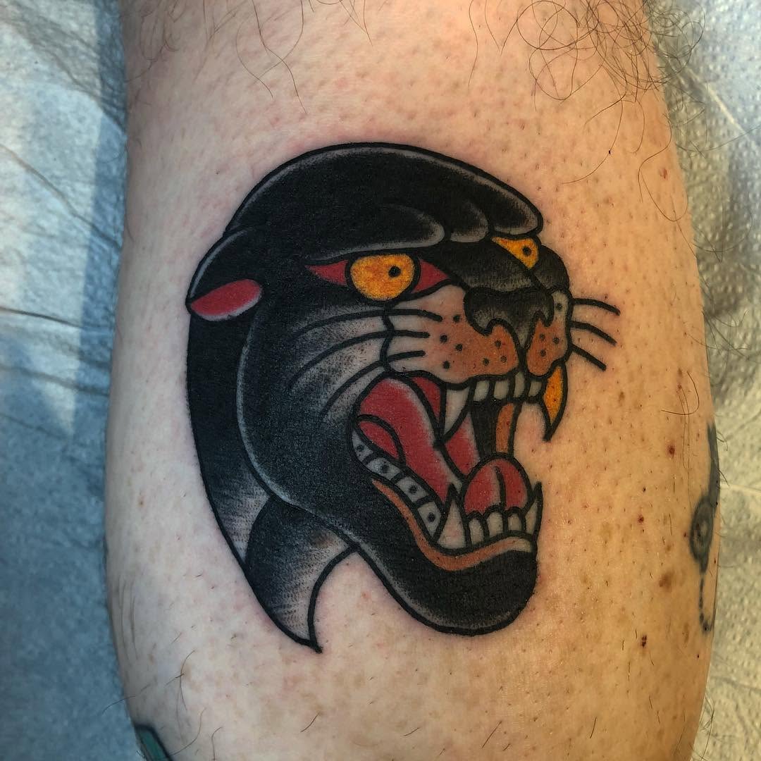 Animal, Tiger
