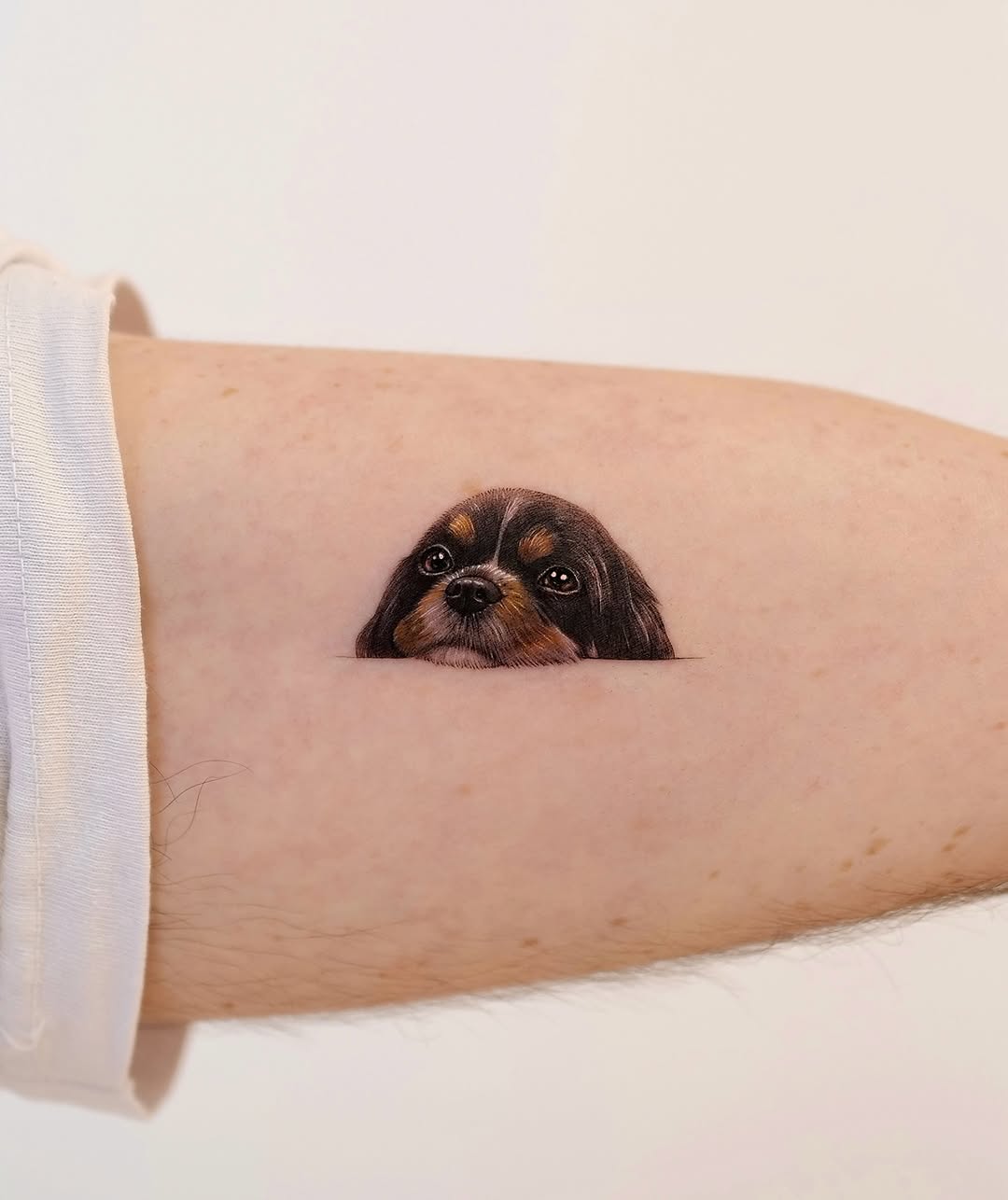Mini, 반려동물, 초소형 타투