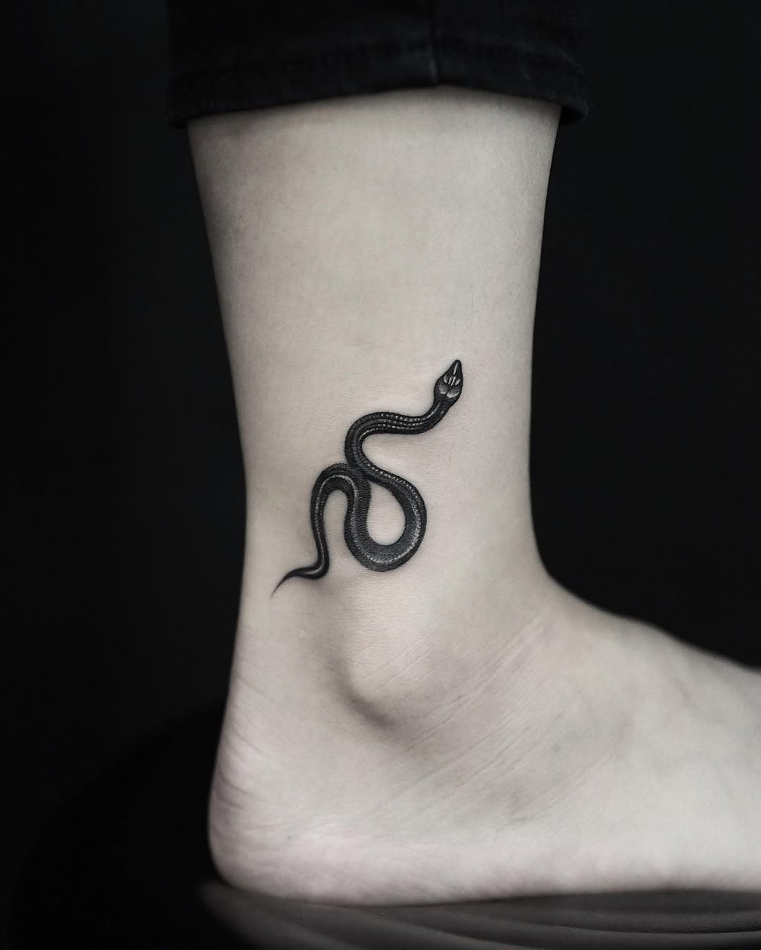 Dragon, Snake, 전갈자리
