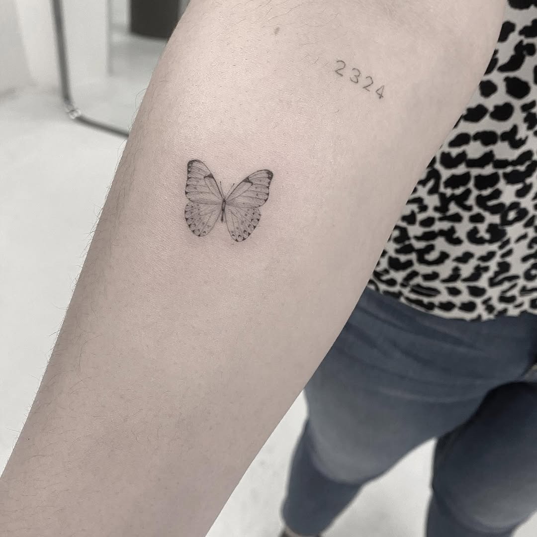 Animal, Nature, 민화, 추억, 동백꽃