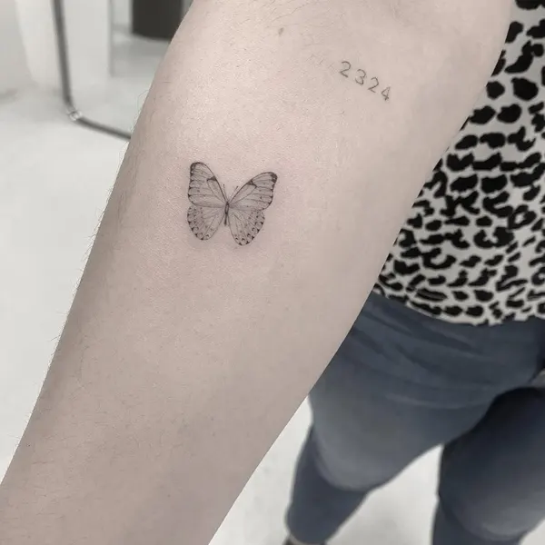 Animal, Nature, 민화, 추억, 동백꽃