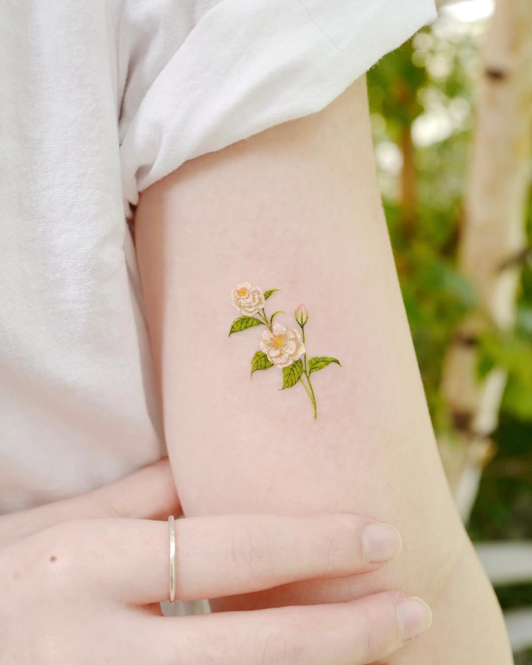 Flower, Rose