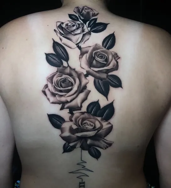 Flower, Rose, Nature