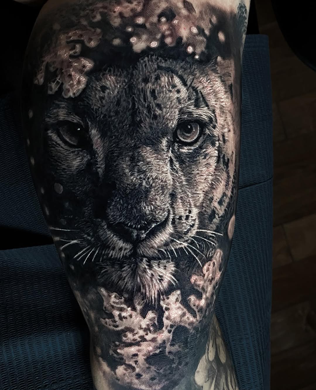 Animal, 표범, 재규어, 치타