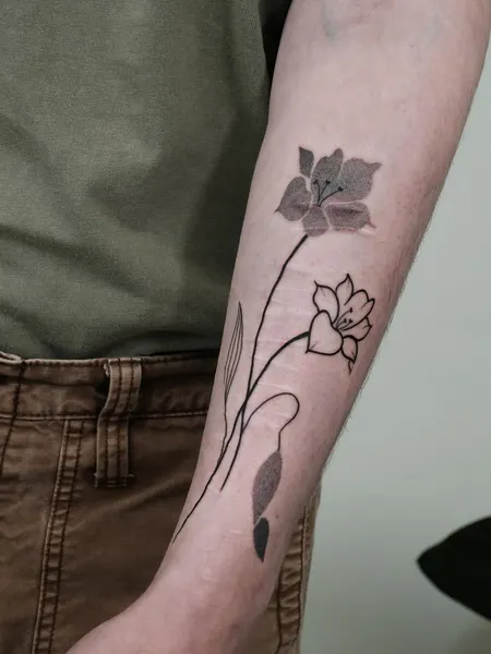 Flower, Rose