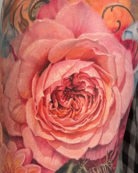 Flower, Rose