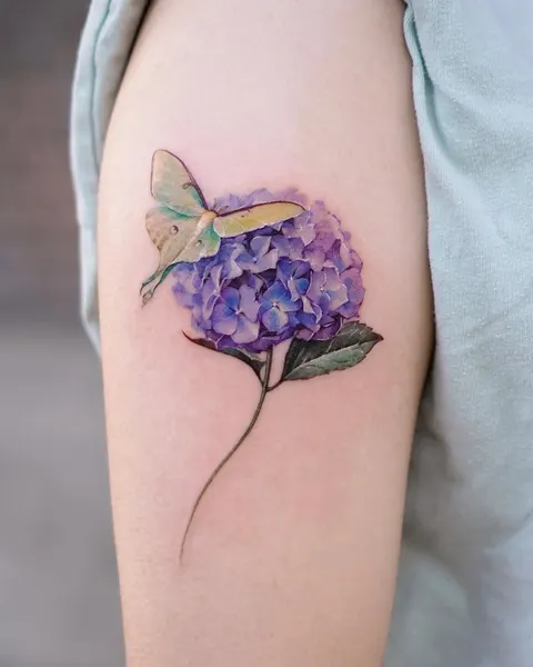 Flower, 수국