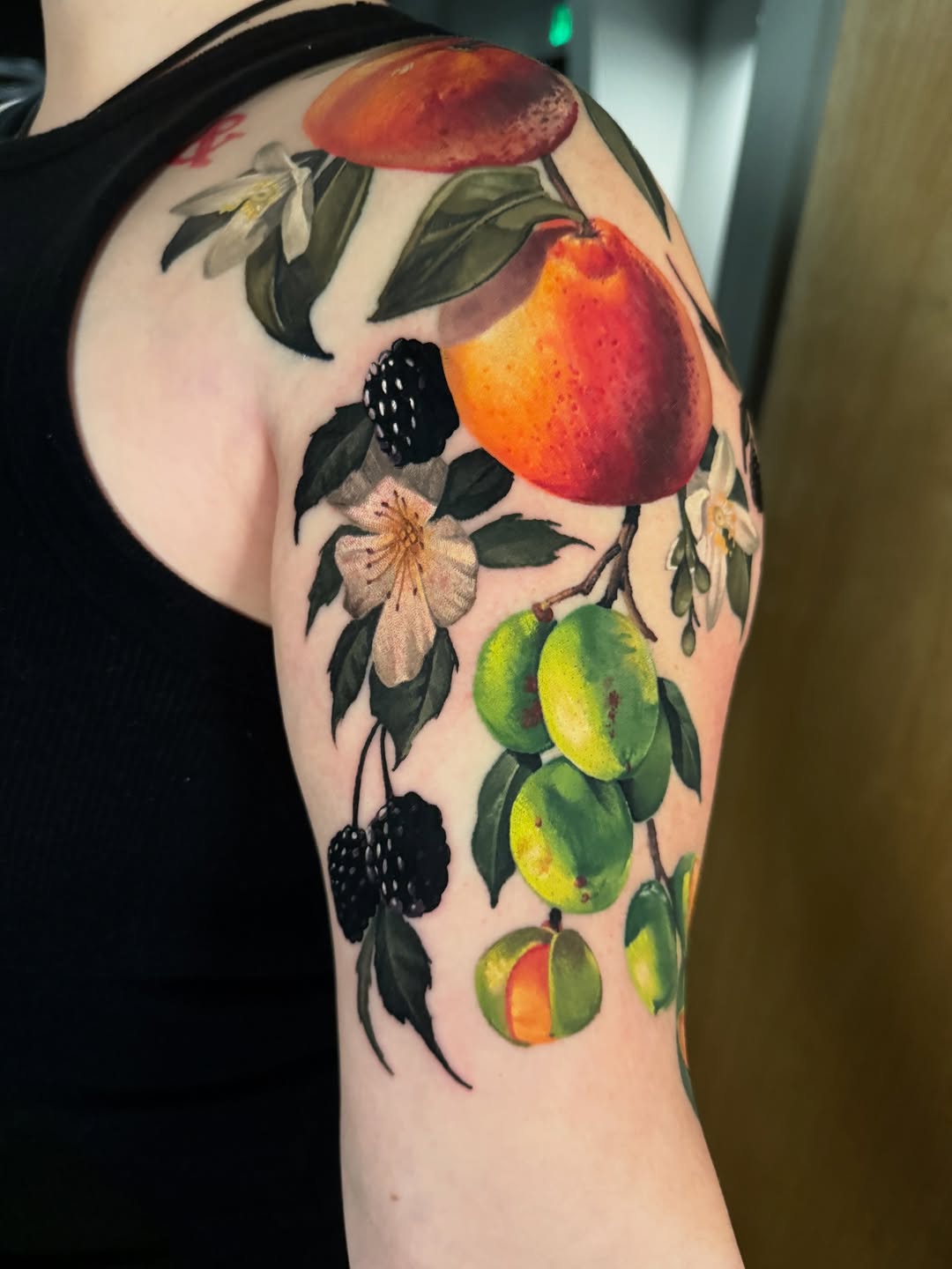 Flower, Rose, Nature