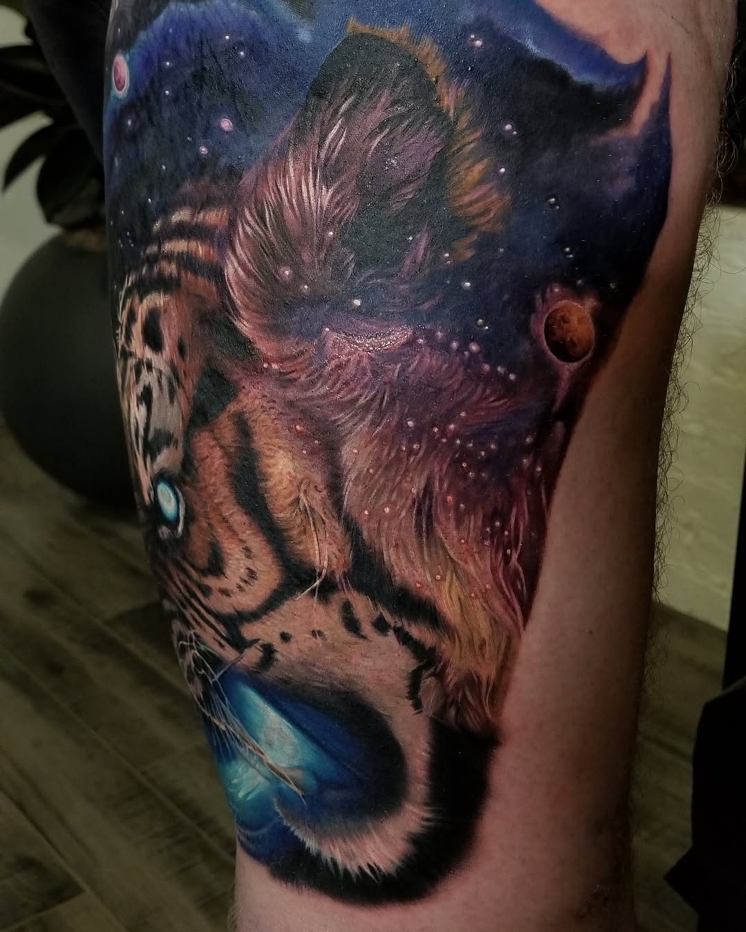 Tiger