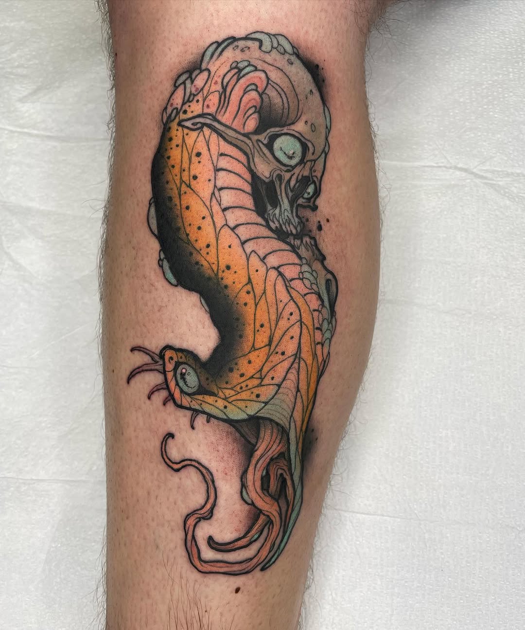 Dragon, 문어, 크라켄