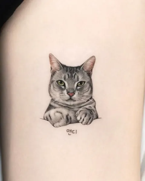 고양이