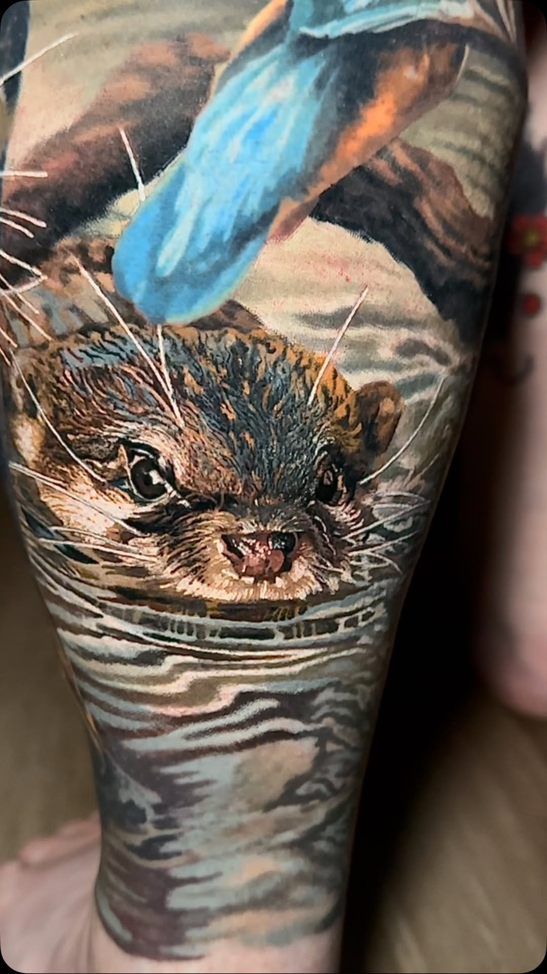 Animal
