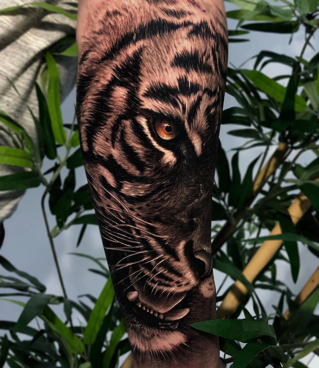 Tiger, 중국 호랑이