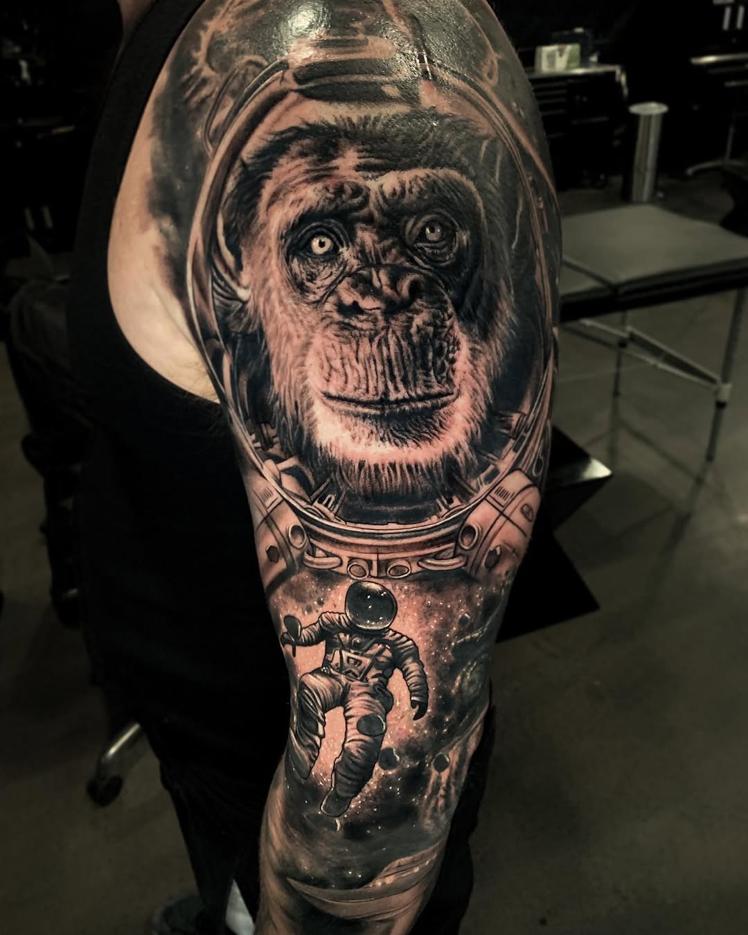 Tiger, Animal, 고릴라, 원숭이