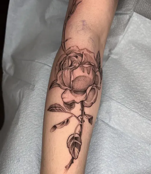 Flower, Rose