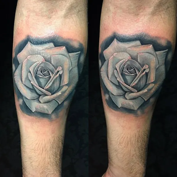 Flower, Rose