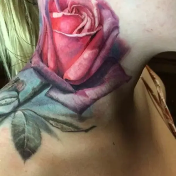 Flower, Rose, Nature