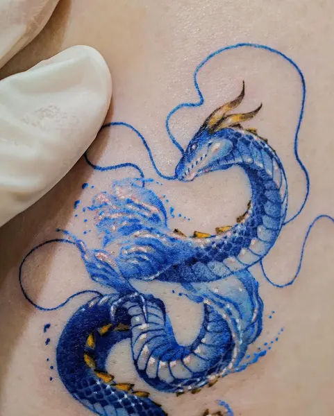 Dragon, 문어, 해파리, 전갈자리