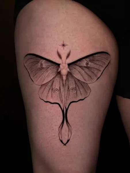 Animal, Nature