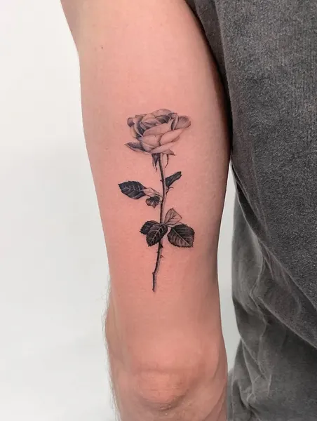 Flower, Rose