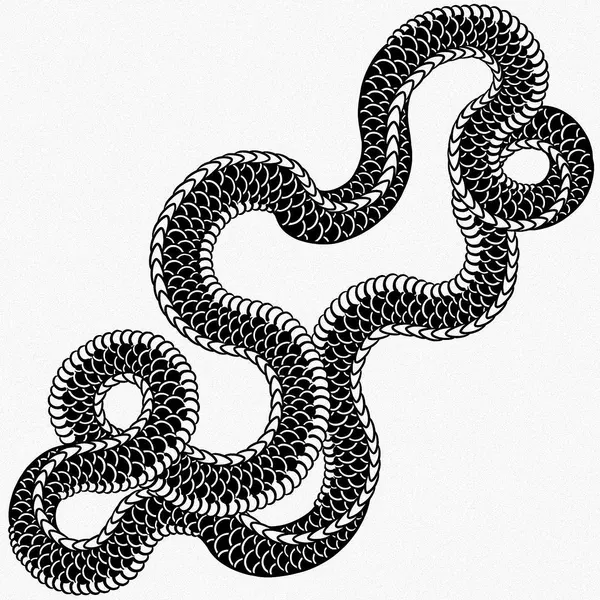 Snake, Dragon