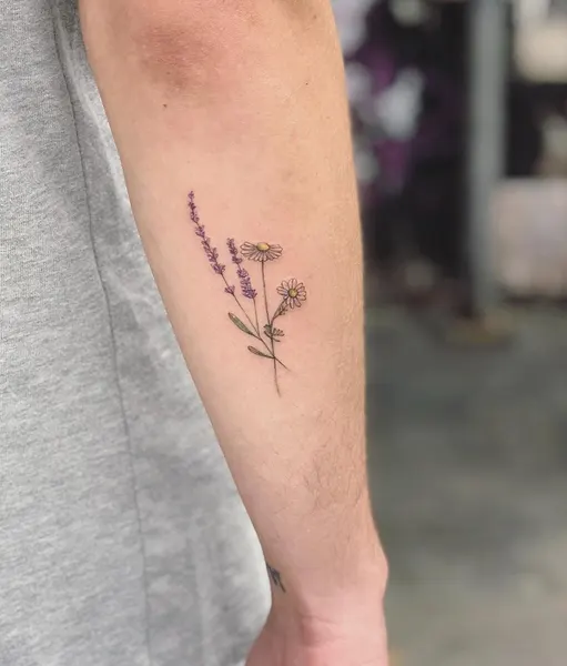 Flower, Rose, 덩굴, 허브, 야생화, 올리브 가지, 뿌리, 지혜, 추억, 포도, 프레임, 회복력, 카네이션