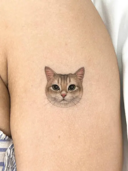 함사, 마네키네코, 텐구, 고양이