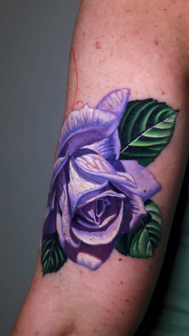 Flower, Rose, 목련