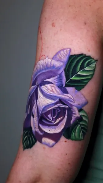 Flower, Rose, 목련