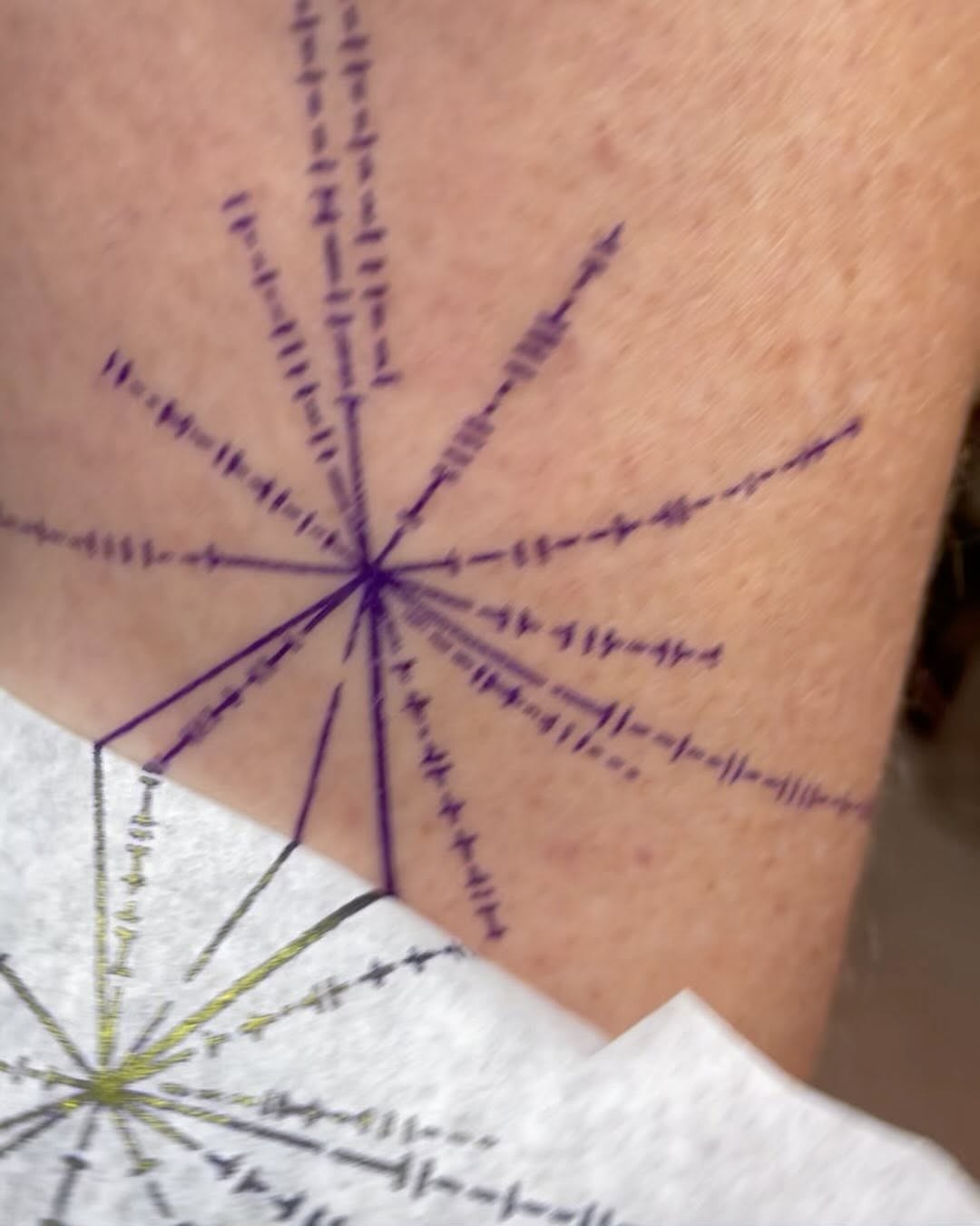 Nature, Geometric, 별, 나침반, 불가사리, 사수자리, 성좌, 화살