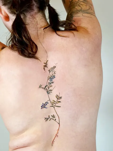 Flower, Nature