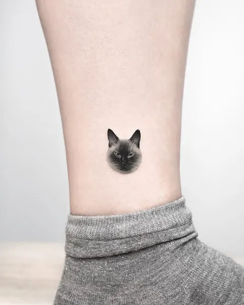 고양이