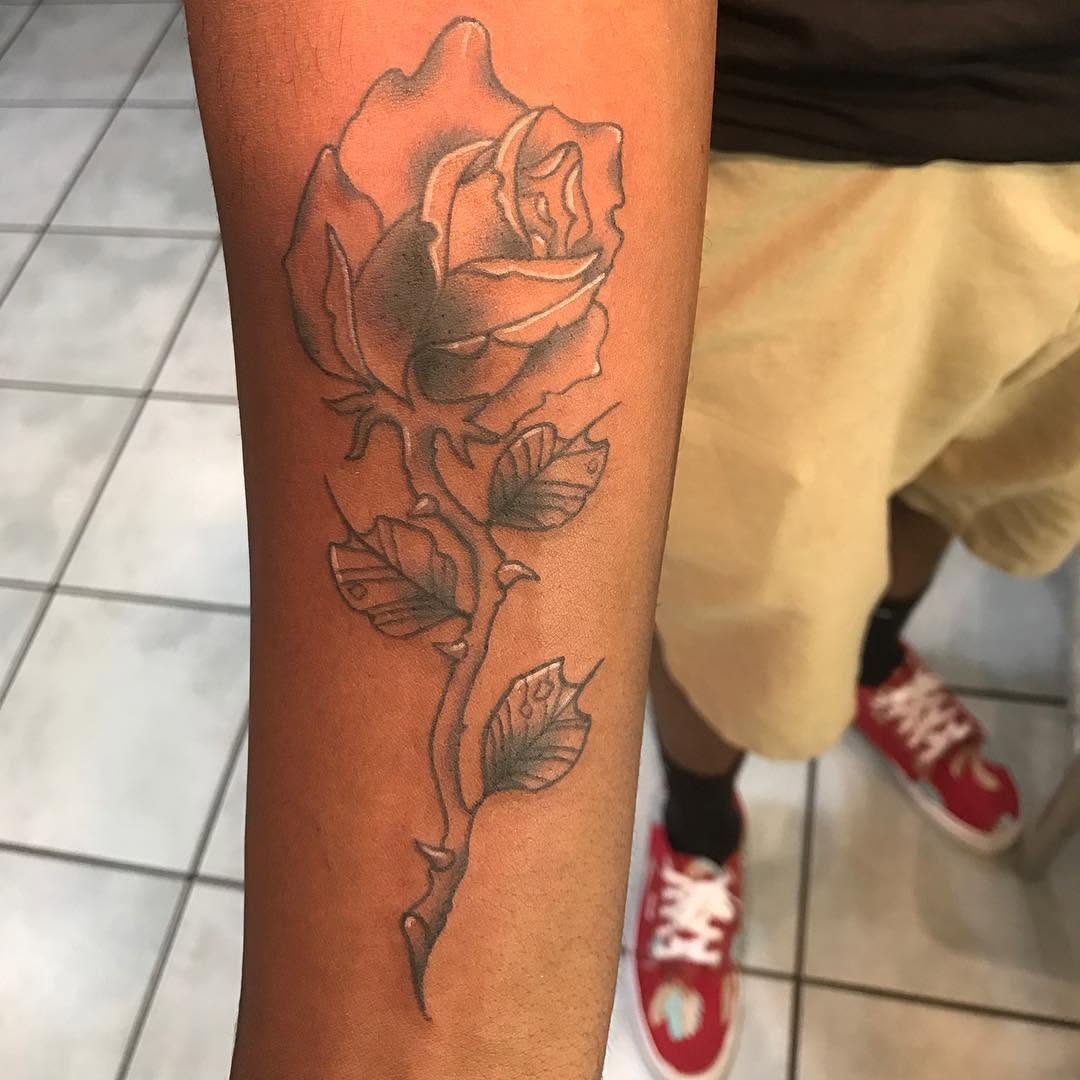 Flower, Rose, 탄생화