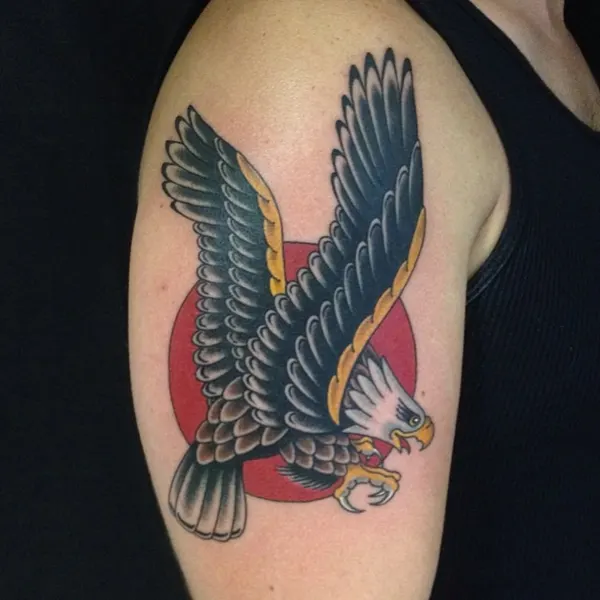 매, 독수리