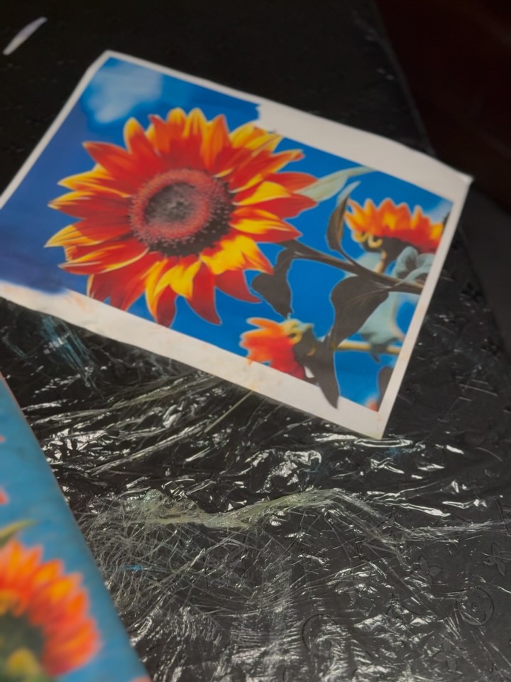 Flower, 해바라기