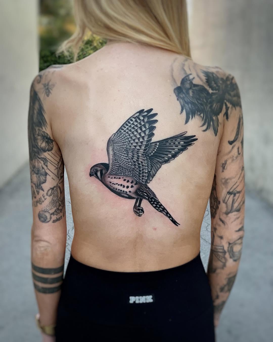 Animal, 공작