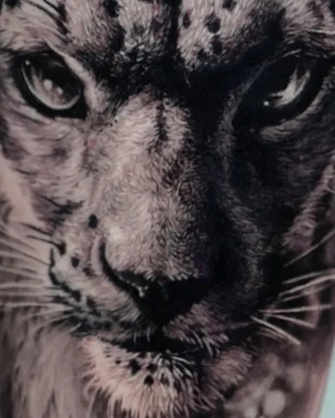 Animal