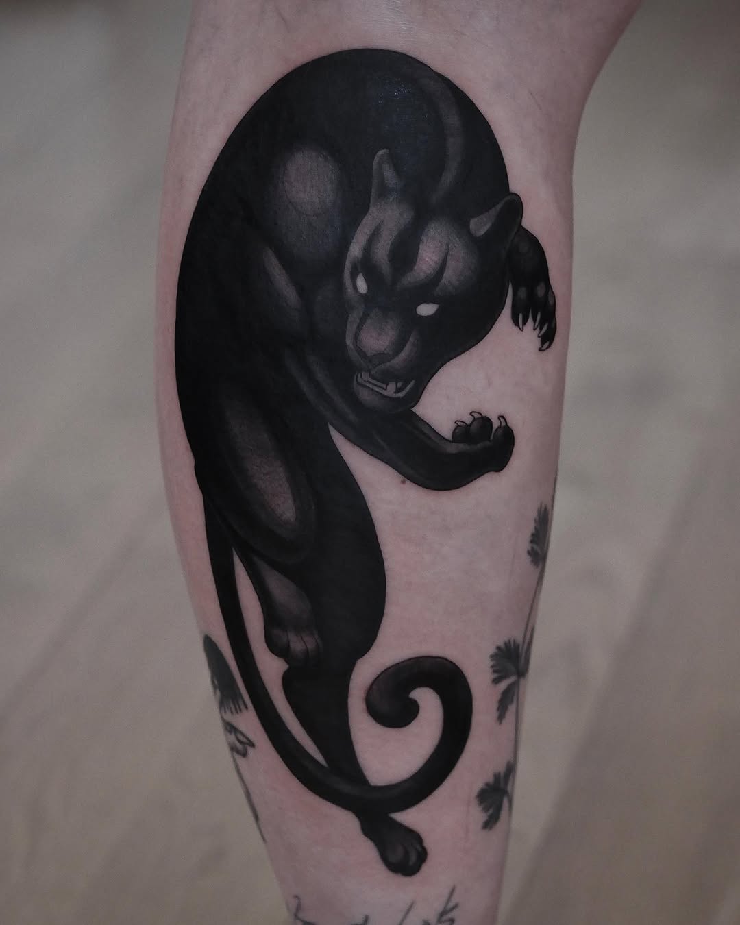 Animal, Dragon