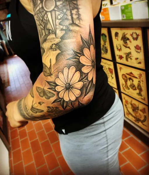 Flower, Rose, Nature