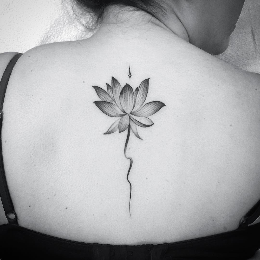 Flower, 백합, 연꽃, 잎, 단풍잎, 수선화, 은행잎, 탄생화, 연꽃 문양, 일본 단풍, 한국 연꽃, 연꽃 만다라