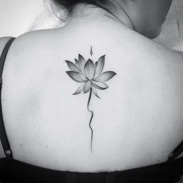 Flower, 백합, 연꽃, 잎, 단풍잎, 수선화, 은행잎, 탄생화, 연꽃 문양, 일본 단풍, 한국 연꽃, 연꽃 만다라