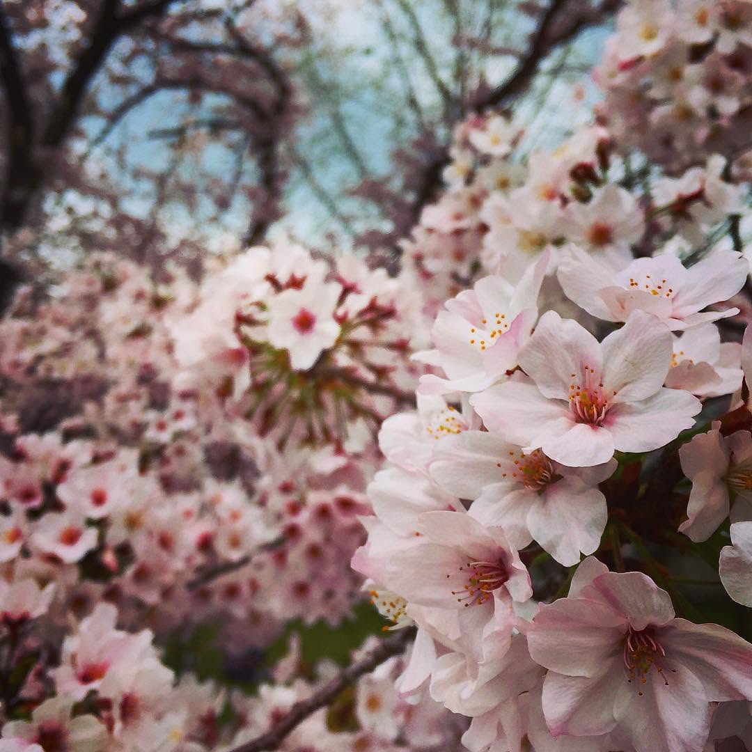 alanpadillaart