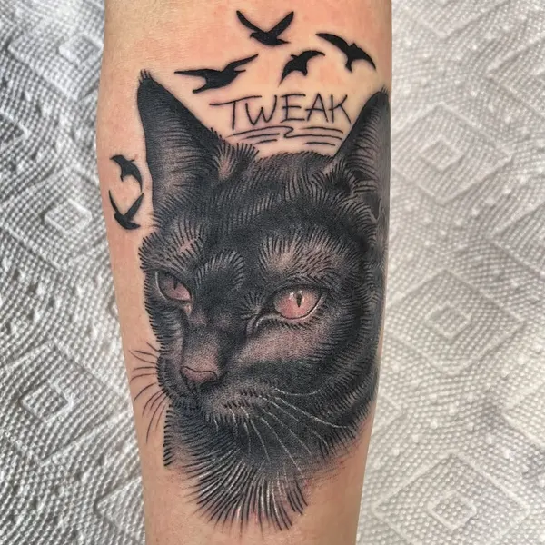 Animal