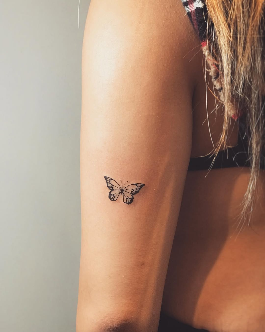 Animal, Nature, 나방, 나비, Mini