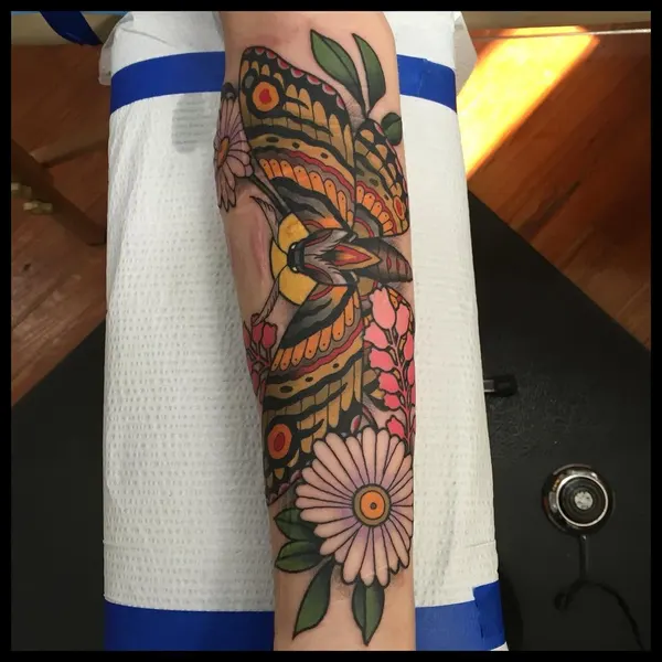 Animal, Flower, Nature