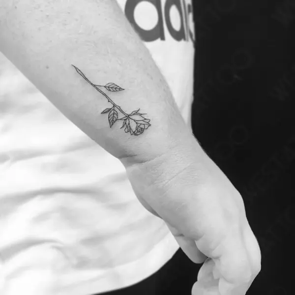 Flower, Rose