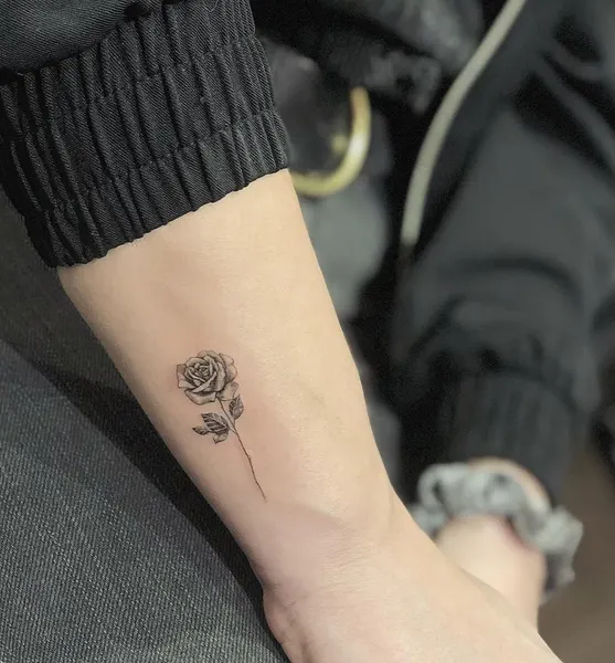 Mini, Flower, Rose, 동백꽃