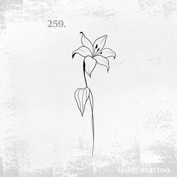 Flower, 모란, 백합, 난초, 튤립, 수선화, 아이리스