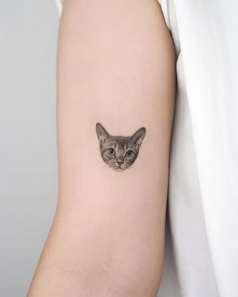 고양이, 여우 가면